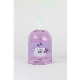 IDYL HANDZEEP HONING/LAV POMP#300ml