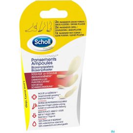 SCHOLL BLARENPLEISTERS MIX      5st