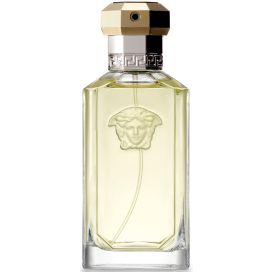 VERSACE DREAMER EDT VAPO      100ml