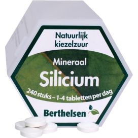 SILICIUM BERTHELSEN           240TB