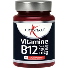 VITAMINE B12 1000MCG           60kt